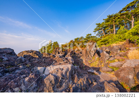 （静岡県）東伊豆・城ヶ崎海岸　早朝 138002221