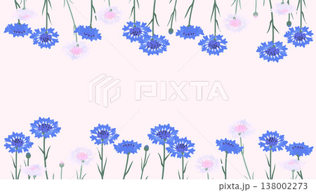 矢車菊の上下フレーム背景（16:9）｜バナー・スライド向け花素材 138002273