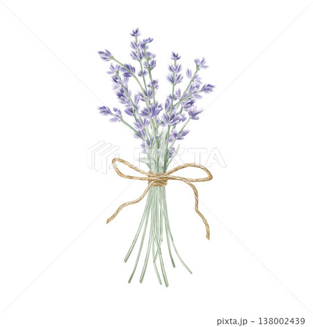 Watercolor lavender bouquet tied with jute twine bow. Hand drawn purple flowers bunch illustration for rustic wedding, Provence style decor, greeting cards, and organic beauty isolated on white. Watercolor lavender bouquet tied with jute twine bow. Hand drawn purple flowers bunch illustration for rustic wedding, Provence style decor, greeting cards, and organic beauty isolated on white. 138002439