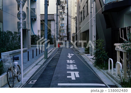 東京都心の道 東京都心の道 138002480