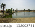 Sacred Lake at Karnak Temple with Palm Trees and Ancient Stone Ruins, Luxor Egypt 138002731