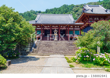 奈良 紫陽花の矢田寺 奈良 紫陽花の矢田寺 138002841
