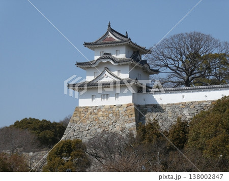 快晴の空の下の明石城坤櫓 138002847