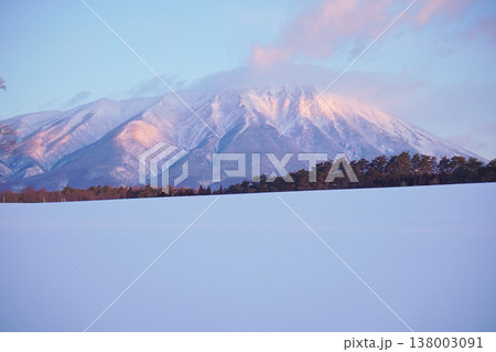 雪原の中そびえ立つ岩手山 雪原の中そびえ立つ岩手山 138003091