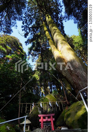 巨石に注連縄 138003319