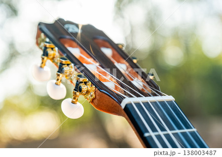 Close-up of the guitar head of a classical guitar with gold pegs. Part of a classical guitar on a blurry background in the park. Head of guitar with nylon strings. Close-up of the guitar head of a classical guitar with gold pegs. Part of a classical guitar on a blurry background in the park. Head of guitar with nylon strings. 138003487