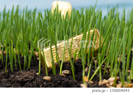 green wheat with gold and currency 138004045