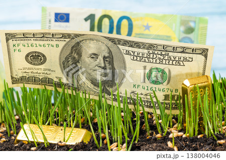 green wheat with gold and currency 138004046