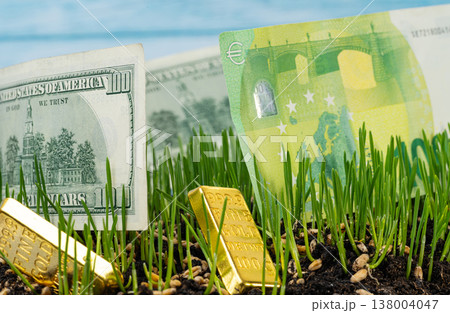 green wheat with gold and currency 138004047