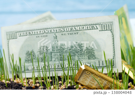 green wheat with gold and currency 138004048