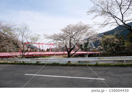 岐阜県本巣市_根尾川9_2025年4月 138004430