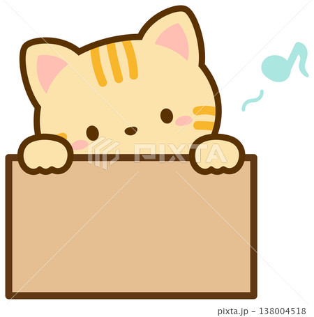 箱に入っている猫、オレンジ色の茶トラネコ 箱に入っている猫、オレンジ色の茶トラネコ 138004518