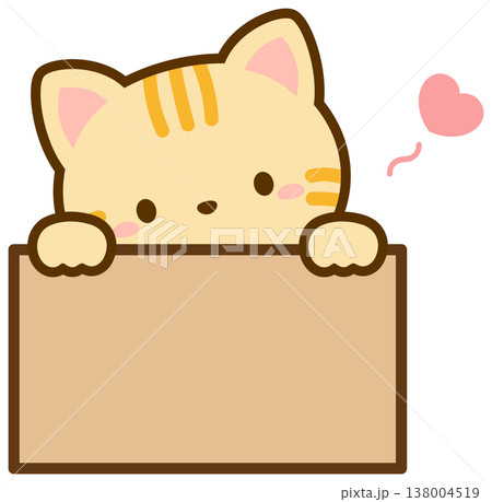 ダンボール箱に入る猫、、オレンジ色の茶トラネコ 138004519