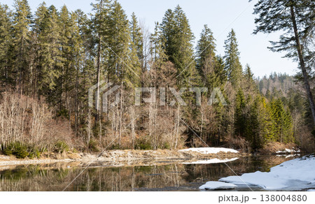 Calm forest water and melting snow in late winter, Bavaria, Germany 138004880