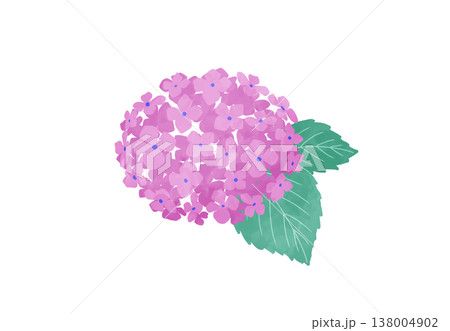 水彩風のピンクの紫陽花 138004902