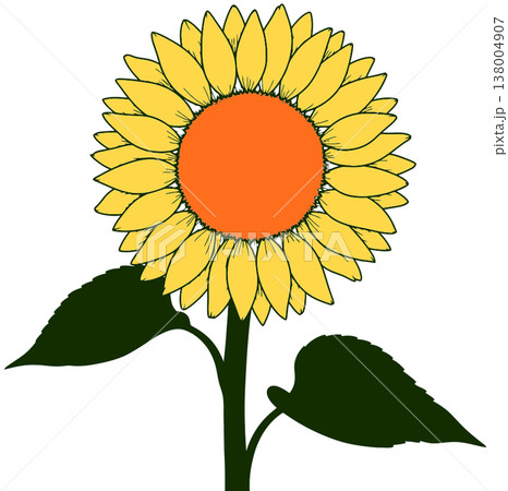 flower 138004907