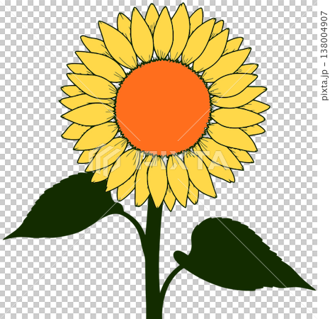 flower flower 138004907