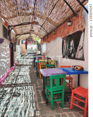 Colorful restaurant alley with a sleeping calico cat in Kas Turkey 138005047