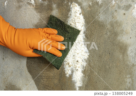 Close-Up of Hand Wearing Orange Rubber Glove Scrubbing White Efflorescence Mineral Deposit or Mold Stain on Rough Gray Concrete Wall Using Green Abrasive Sponge Pad Close-Up of Hand Wearing Orange Rubber Glove Scrubbing White Efflorescence Mineral Deposit or Mold Stain on Rough Gray Concrete Wall Using Green Abrasive Sponge Pad 138005249