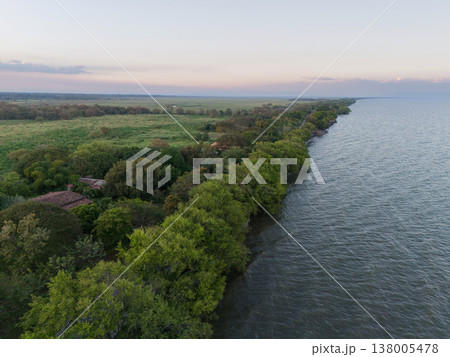 Green trees on lake shore 138005478
