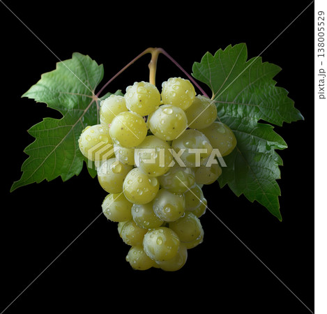 Green grape cluster with dew isolated on black background with clipping path, concept of freshness and natural harvest 138005529
