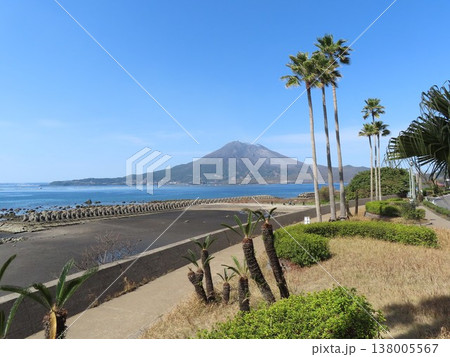海岸から見る桜島 海岸から見る桜島 138005567
