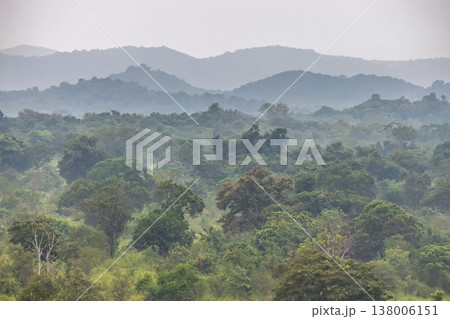 Misty Tropical Forest Landscape with Lush Green Canopy and Distant Hazy Mountains on an Overcast Day. Hurulu Eco Park Safari in Sri Lanka. 138006151