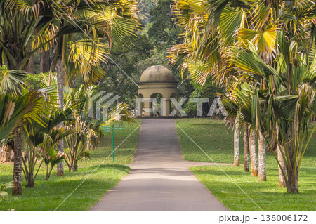 Peradeniya, Royal Botanic Gardens near of Kandy town in Sri Lanka. Arched Pavilion at the End of a Palm-Lined Pathway in a Lush Tropical Park on a Sunny Day, Evoking Tranquility and Natural Beauty 138006172