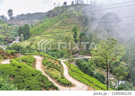 A verdant tea plantation hillside near Nuwara Eliya in Sri Lanka. Misty Green Hillside with Winding Dirt Roads and Lush Plantations in a Serene Rural Landscape A verdant tea plantation hillside near Nuwara Eliya in Sri Lanka. Misty Green Hillside with Winding Dirt Roads and Lush Plantations in a Serene Rural Landscape 138006220