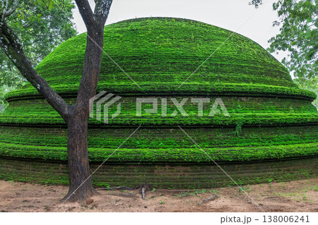 Ancient Royal Palace Ruins in Polonnaruwa, Sri Lanka. Ancient Moss-Covered Brick Structure and Tree in a Serene, Lush Tropical Green Landscape on an Overcast Day 138006241