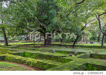 Ancient Royal Palace Ruins in Polonnaruwa, Sri Lanka. Ancient Ruins with Moss-Covered Walls and Lush Green Trees in a Serene Forest Landscape Ancient Royal Palace Ruins in Polonnaruwa, Sri Lanka. Ancient Ruins with Moss-Covered Walls and Lush Green Trees in a Serene Forest Landscape 138006245
