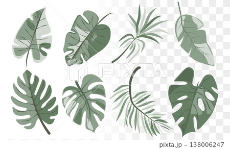 Modern Botanical Leaf Vector Set Minimalist Monstera Palm Foliage. Professional Hand-Drawn Elements for Organic Branding, Eco-Packaging Wellness Modern Botanical Leaf Vector Set Minimalist Monstera Palm Foliage. Professional Hand-Drawn Elements for Organic Branding, Eco-Packaging Wellness 138006247