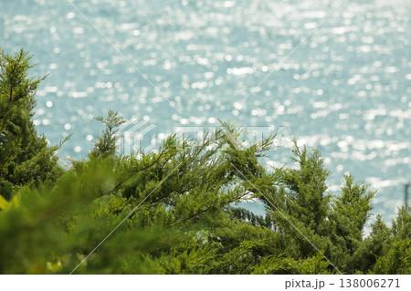 Beachside Foliage Scenery. Gulfside Greenery With Sparkling Water Glow And Peaceful Atmosphere 138006271