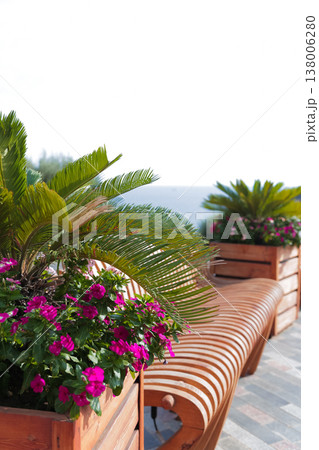 Cozy Outdoor Bench Surrounded By Nature. Serene Seating Area With Colorful Flowers By Gentle Sea Cozy Outdoor Bench Surrounded By Nature. Serene Seating Area With Colorful Flowers By Gentle Sea 138006280