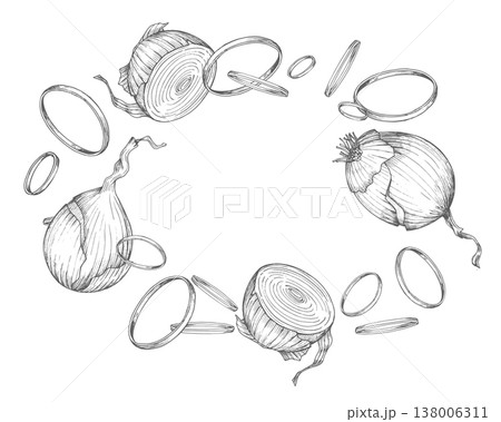Oval frame of the onions. Vector ink handmade illustration. For packaging design, cards, cover, prints, product labels and fabric. 138006311