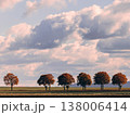 秋の夕焼けに照らされ立ち並ぶ木 138006414