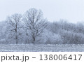 冬の静けさにそびえ立つ樹氷に覆われた大木 138006417