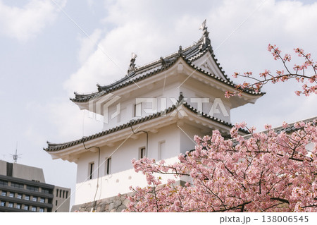 桜と日本の城 春に咲く花と伝統建築の風景 138006545
