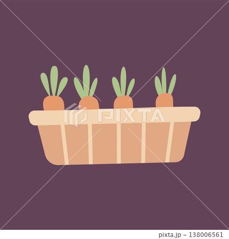 Flat illustration of carrots growing in a planter box. Perfect for gardening, farming, and healthy food design. Simple modern vegetable illustration. 138006561