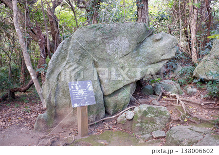 高知県土佐清水市 足摺七不思議・亀石 高知県土佐清水市 足摺七不思議・亀石 138006602