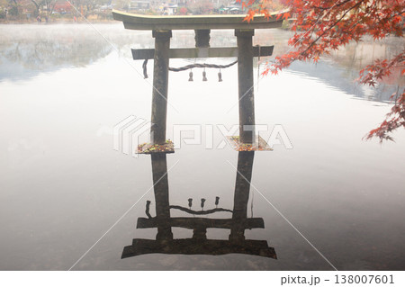 湯布院　金鱗湖の鳥居と紅葉 138007601