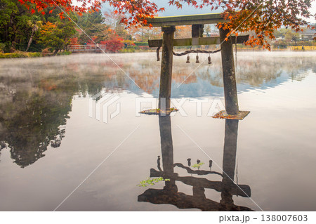 湯布院　金鱗湖の鳥居と紅葉 138007603