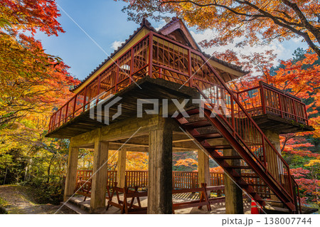 豊田市の大井平公園の紅葉した木々の風景(愛知県) 138007744