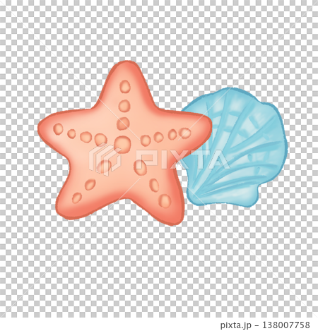 Cute Starfish And Seashell Cute Starfish And Seashell 138007758