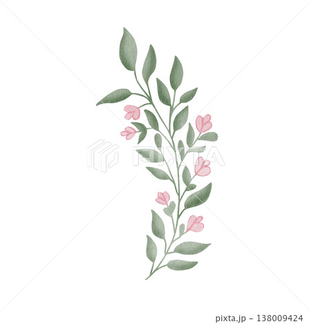 Delicate watercolor botanical sprig with pink flower buds and green leaves, isolated on white background, for creating elegant wedding invitations, organic logo designs, and spring floral wreaths Delicate watercolor botanical sprig with pink flower buds and green leaves, isolated on white background, for creating elegant wedding invitations, organic logo designs, and spring floral wreaths 138009424