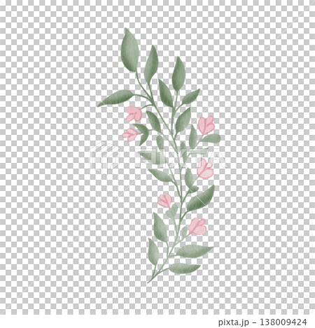 Delicate watercolor botanical sprig with pink flower buds and green leaves, isolated on white background, for creating elegant wedding invitations, organic logo designs, and spring floral wreaths Delicate watercolor botanical sprig with pink flower buds and green leaves, isolated on white background, for creating elegant wedding invitations, organic logo designs, and spring floral wreaths 138009424