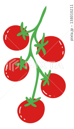 Cherry Tomato Branch Vine. Simple Pomodoro Tomatoes Vegetable. Hand Drawn Vector Illustration 138010211