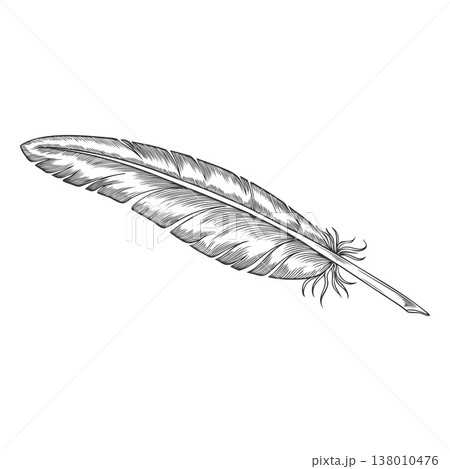 Feather vector engraved hand drawn illustration, feather a pen for ink writing isolated, single bird plume sketch icon Feather vector engraved hand drawn illustration, feather a pen for ink writing isolated, single bird plume sketch icon 138010476