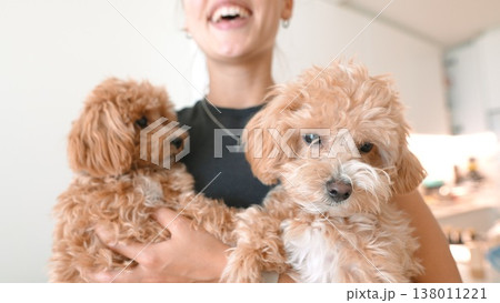 Comforting interaction between owner and adorable therapy puppies indoors Comforting interaction between owner and adorable therapy puppies indoors 138011221