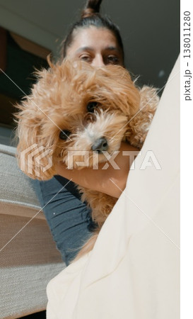Joyful dog encounter. Spontaneous pet interaction under warm lighting 138011280
